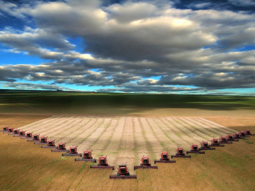 38439 (a): :1280x960